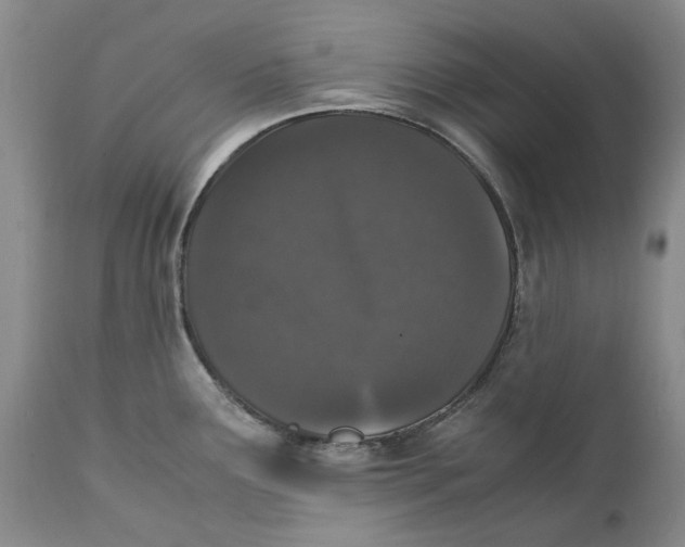 X0000112041291200908241553