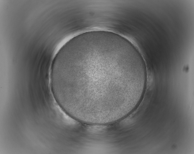 X0000112041294200908241553