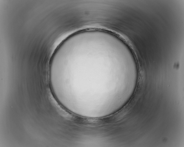 X0000112041295200908241553