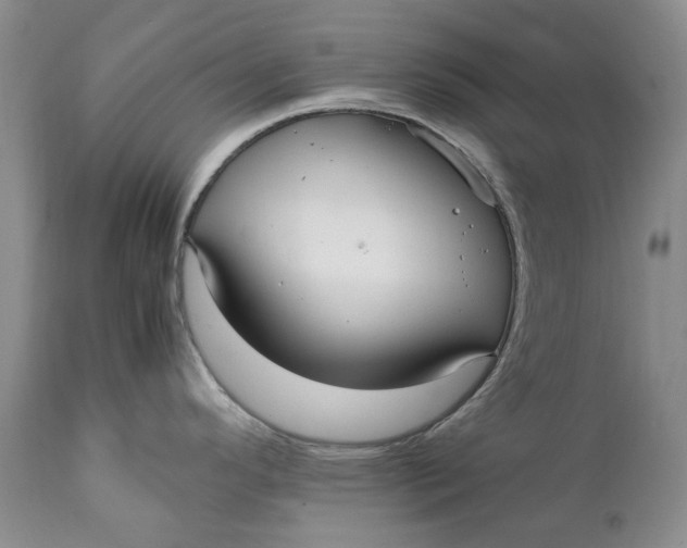 X0000112041296200908241553