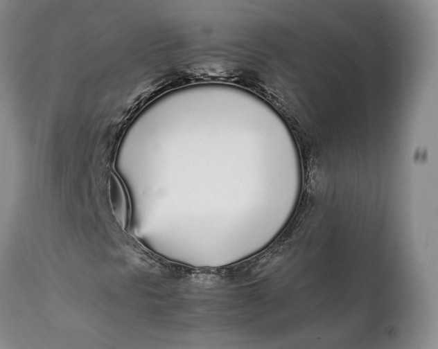 X0000112041297200908241553