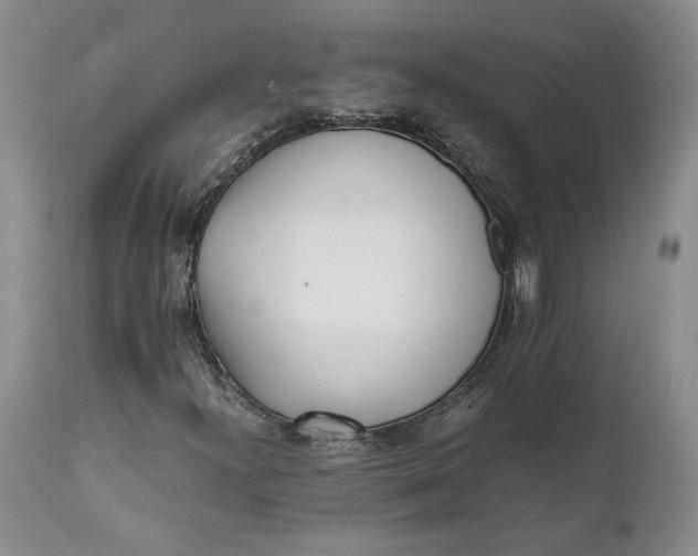 X0000112041300200908241553
