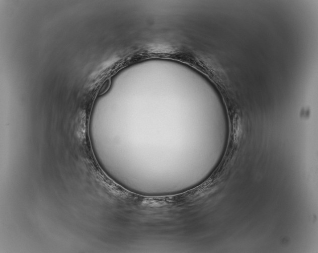 X0000112041301200908241553