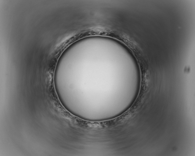 X0000112041302200908241553