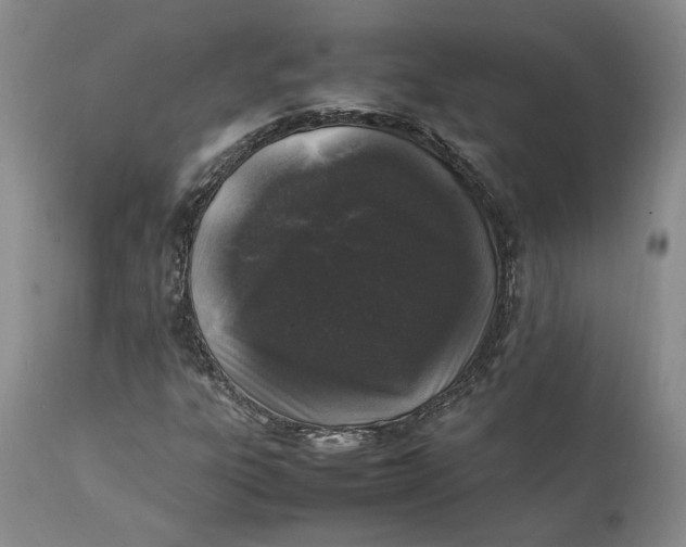 X0000112041303200908241553
