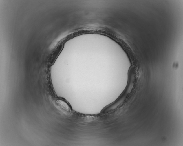 X0000112041304200908241553