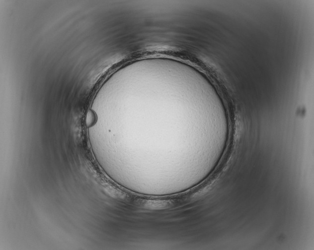 X0000112041305200908241553