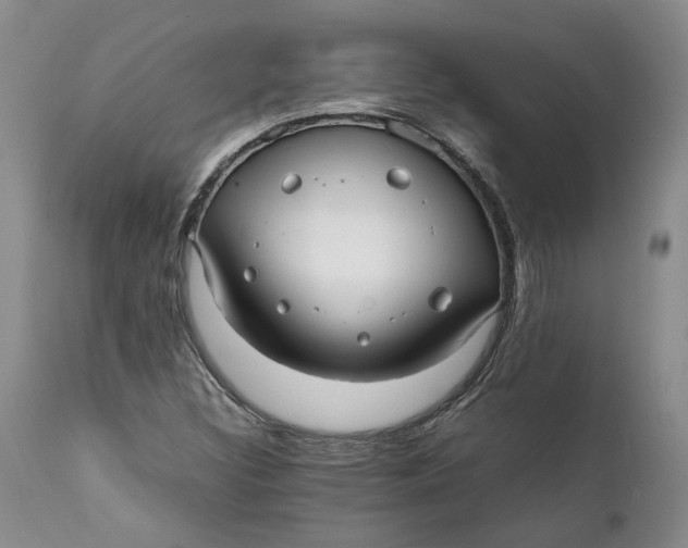 X0000112041308200908241553