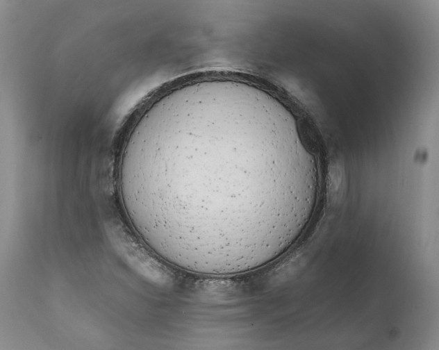 X0000112041310200908241553