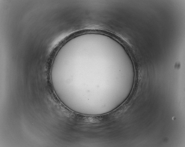 X0000112041311200908241553