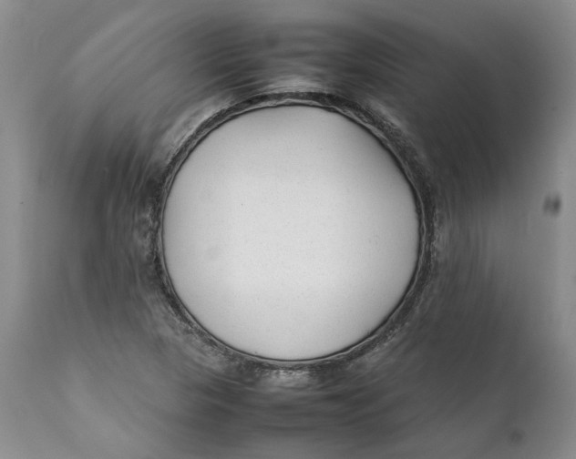 X0000112041313200908241553