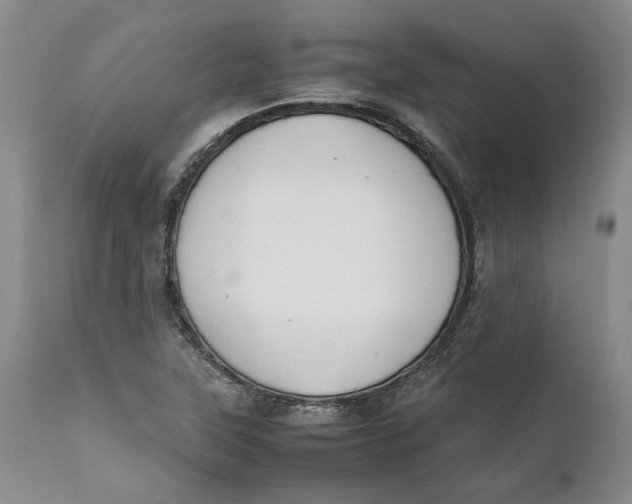 X0000112041315200908241553