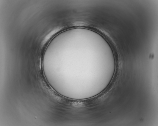 X0000112041317200908241553