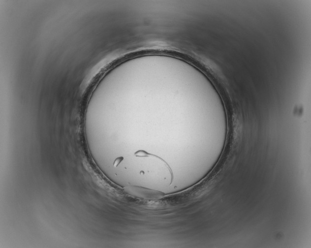 X0000112041318200908241553