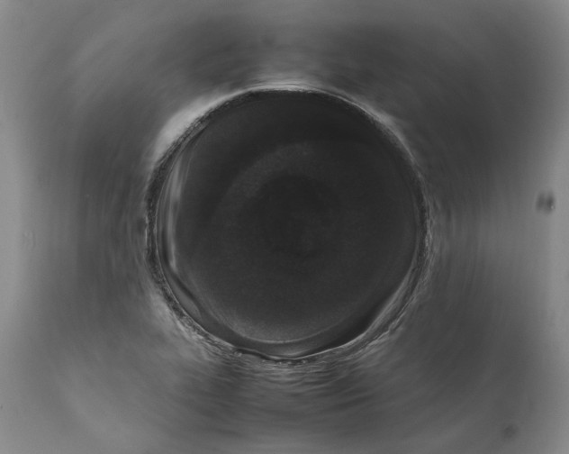 X0000112041319200908241553