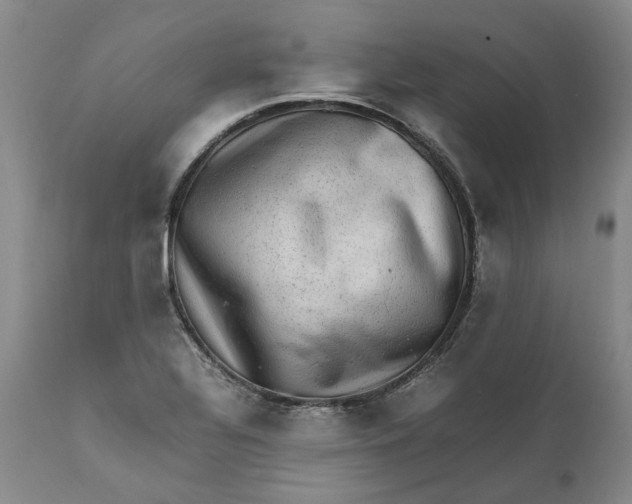 X0000112041320200908241553