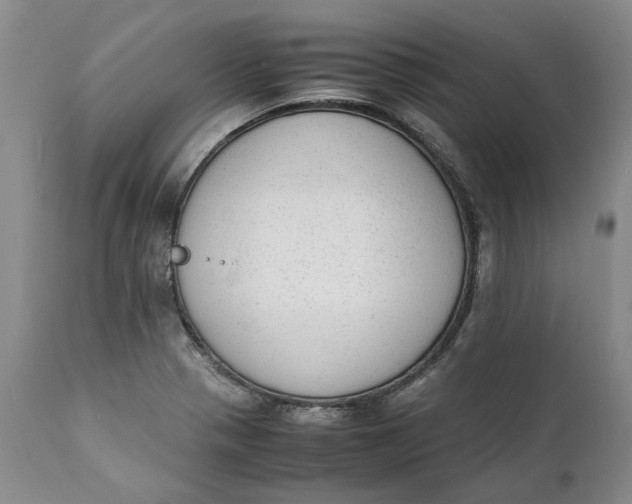 X0000112041321200908241553