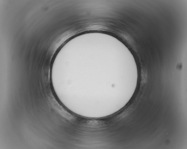 X0000112041322200908241553