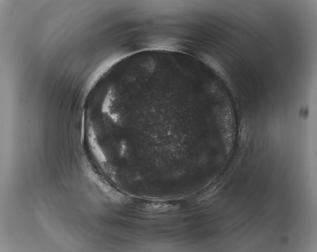 X0000112041323200908241553