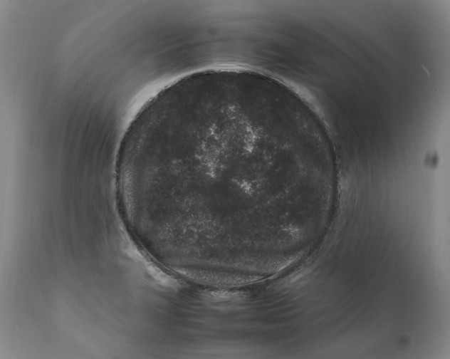 X0000112041327200908241553