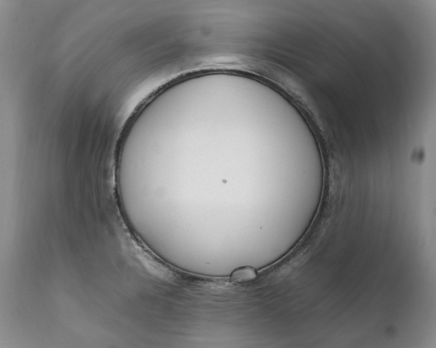 X0000112041328200908241553