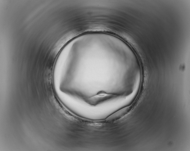X0000112041329200908241553