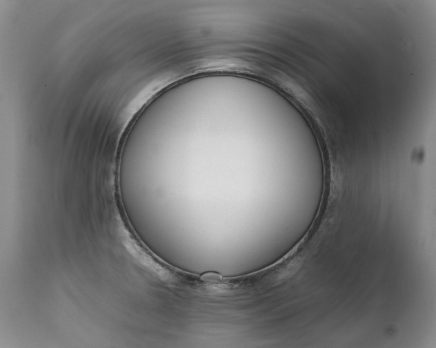 X0000112041330200908241553