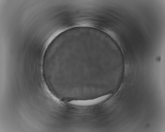 X0000112041331200908241553