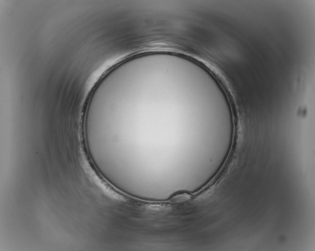 X0000112041333200908241553
