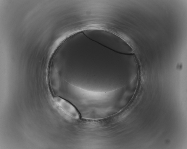 X0000112041334200908241553