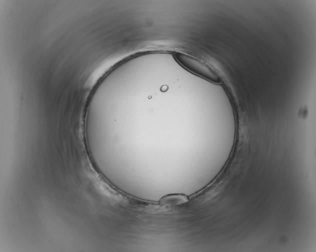 X0000112041336200908241553
