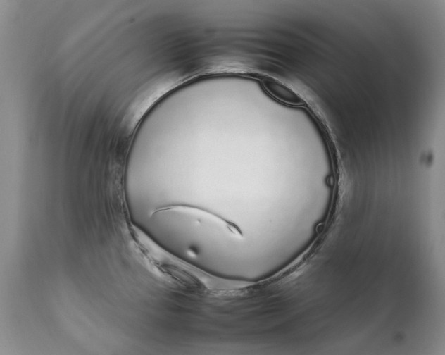 X0000112041337200908241553