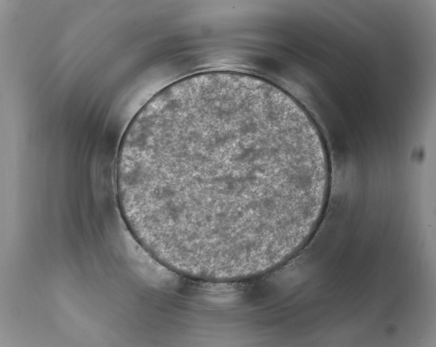 X0000112041338200908241553