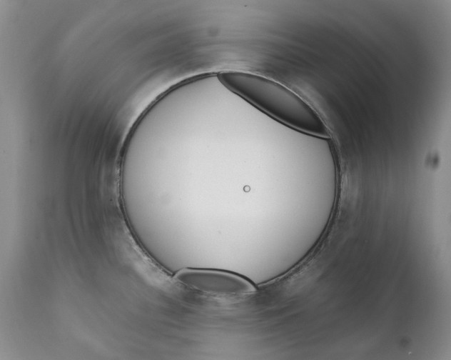 X0000112041340200908241553