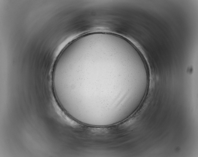 X0000112041341200908241553