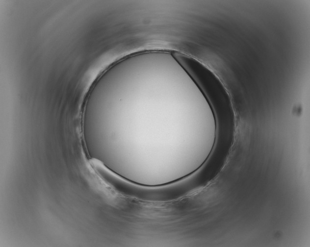 X0000112041342200908241553