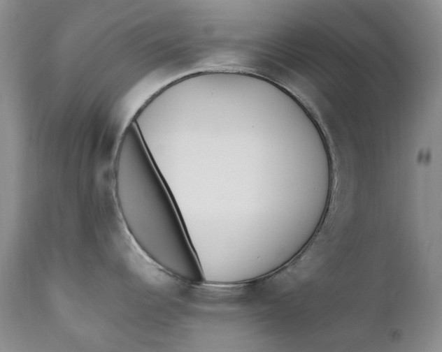 X0000112041344200908241553