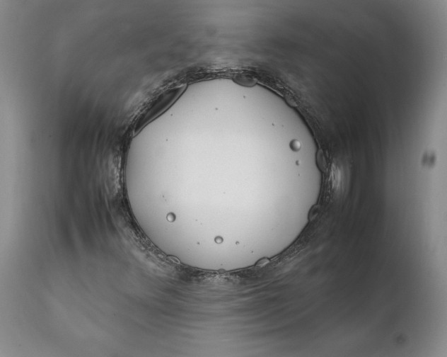 X0000112041348200908241553