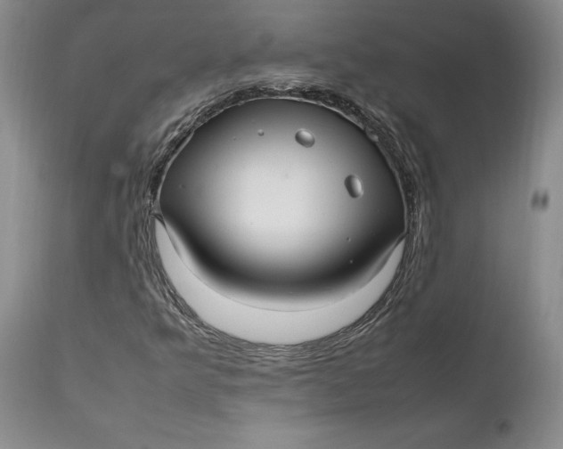 X0000112041349200908241553