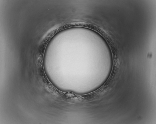 X0000112041351200908241553