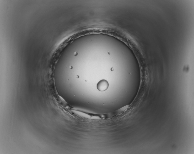 X0000112041352200908241552