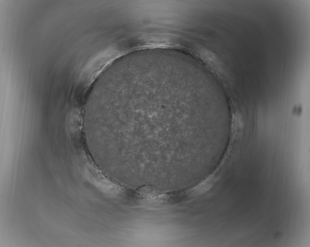 X0000112041353200908241552