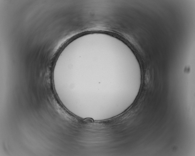 X0000112041356200908241552