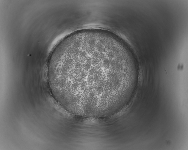 X0000112041358200908241552