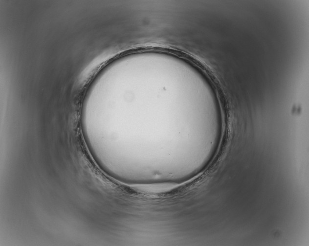 X0000112041359200908241552
