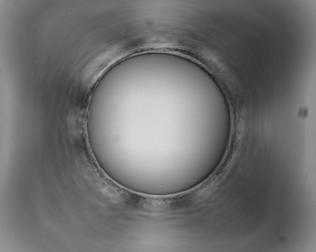 X0000112041361200908241552