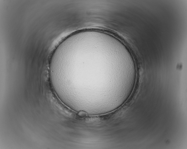 X0000112041363200908241552