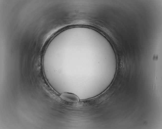 X0000112041364200908241552