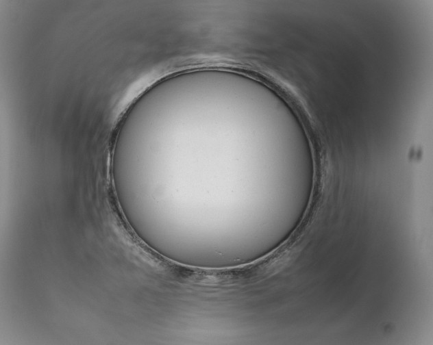 X0000112041365200908241552