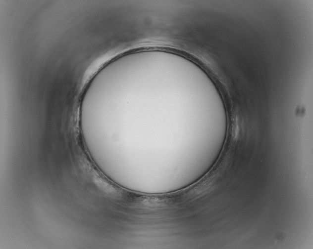 X0000112041366200908241552